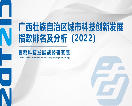 叉B免费视频【成果发布】广西壮族自治区城市科技创新发展指数排名及分析（2022）